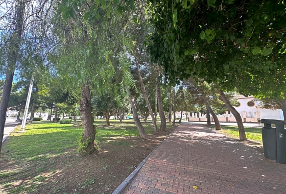 Reventa - Casa - Torrevieja - Torrevieja - Aguas Nuevas