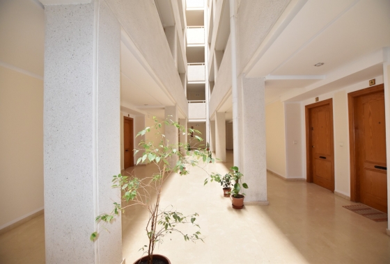 Wiederverkauf - Wohnung - La Mata