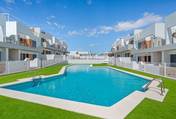 Resale - Apartment / flat - San Miguel de Salinas