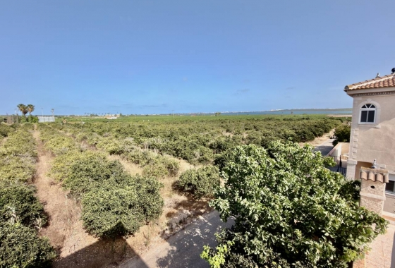Revente - Villa - Ciudad Quesada - Doña Pepa