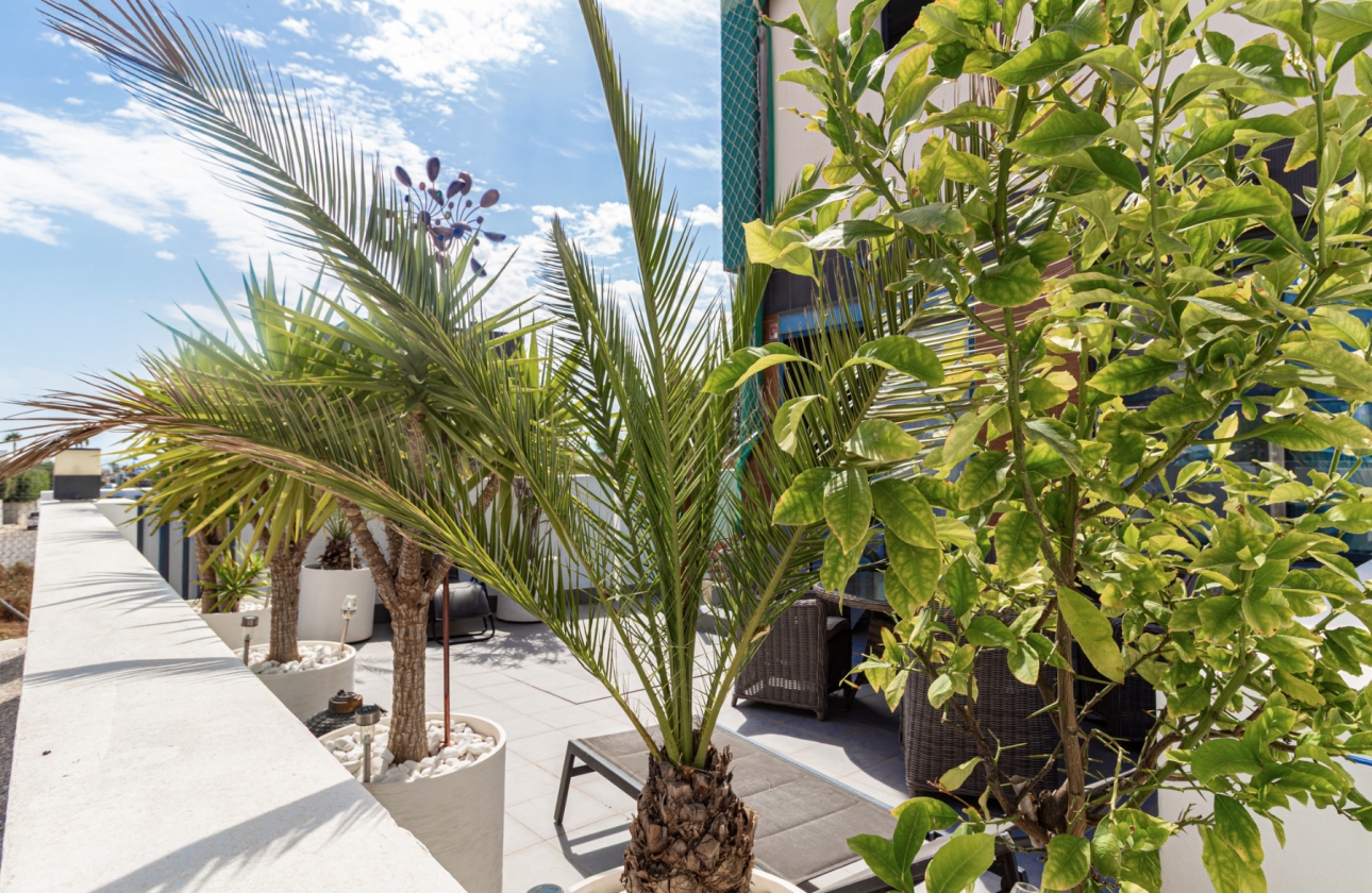 Revente - Appartement - Villamartin - Villacosta