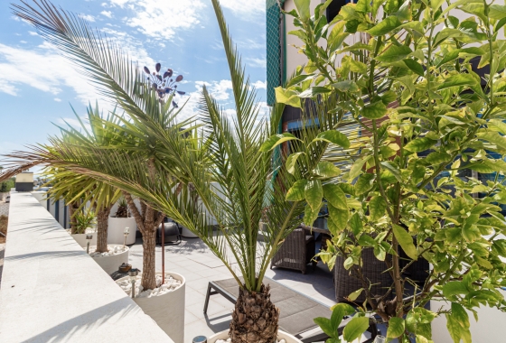 Revente - Appartement - Villamartin - Villacosta