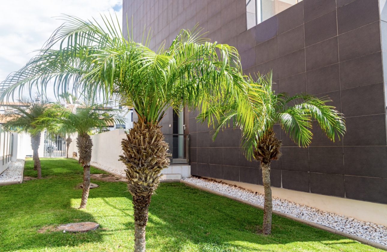 Revente - Appartement - Villamartin - Villacosta