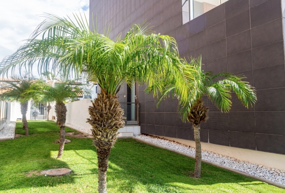 Revente - Appartement - Villamartin - Villacosta