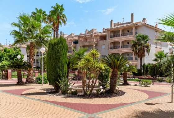 Herverkoop - Appartement / flat - Orihuela Costa - Playa Flamenca