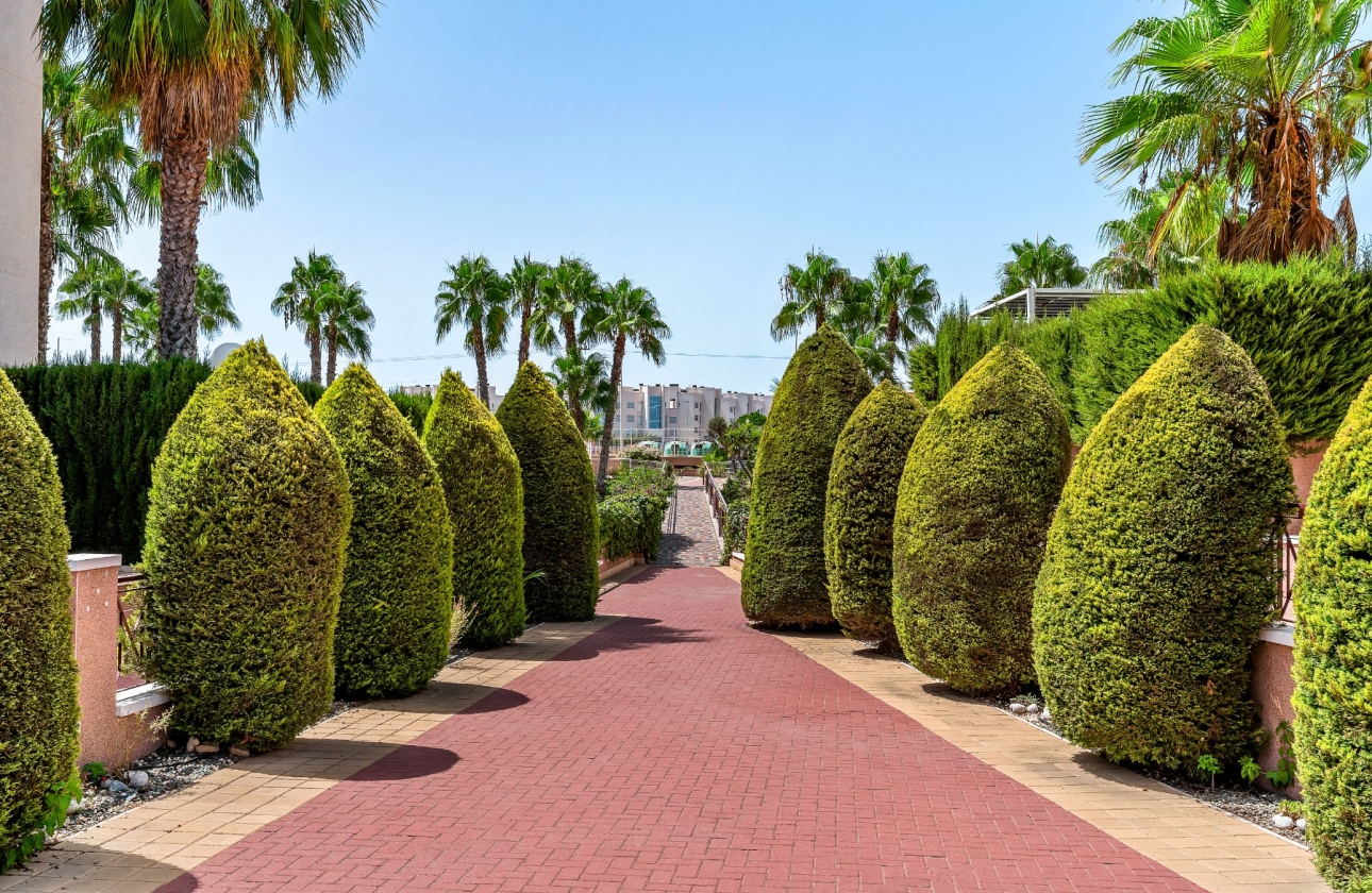 Herverkoop - Appartement / flat - Orihuela Costa - Playa Flamenca
