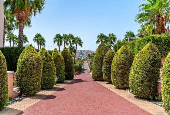 Herverkoop - Appartement / flat - Orihuela Costa - Playa Flamenca