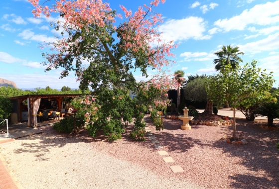 Wiederverkauf - 5. Finca / Country Property - Orihuela Costa - La Campaneta