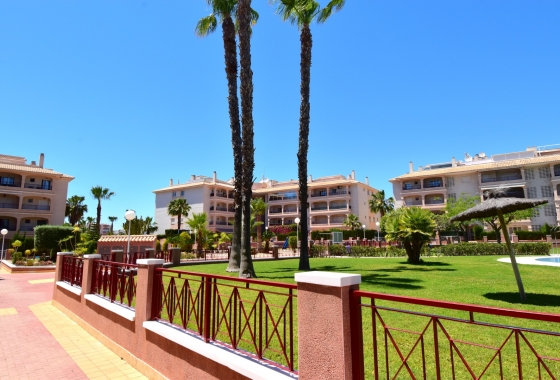 Herverkoop - Appartement / flat - Orihuela Costa - Playa Flamenca