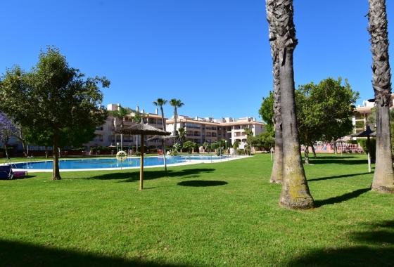 Herverkoop - Appartement / flat - Orihuela Costa - Playa Flamenca