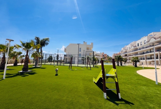 Resale - Apartment / flat - Guardamar del Segura - El Raso