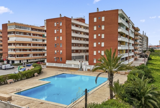 Resale - Penthouse - Torrevieja - Rocio Del Mar