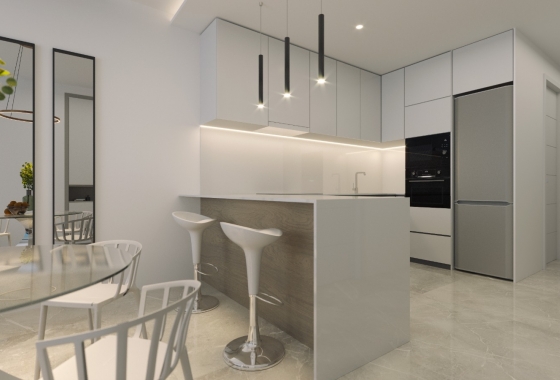 Neue Gebäude - Penthouse - Torrevieja