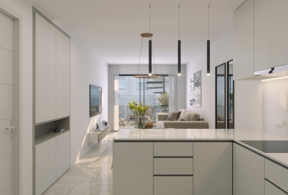 Neue Gebäude - Penthouse - Torrevieja
