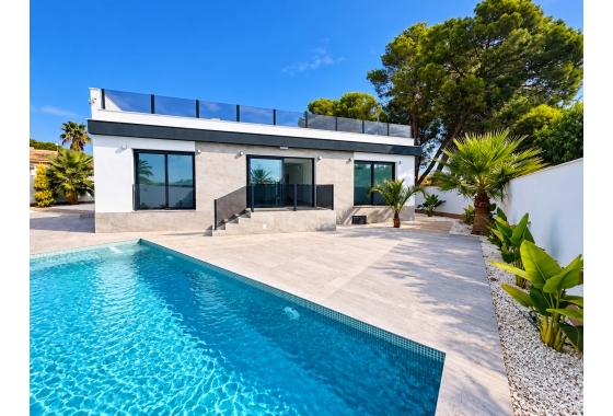 Reventa - Villa - Ciudad Quesada - town