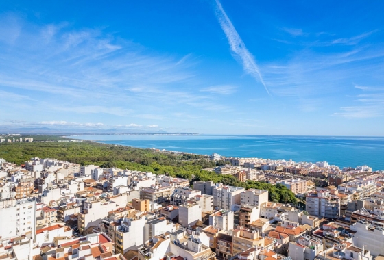 Obra nueva - Apartamento / piso - Guardamar del Segura - Centro