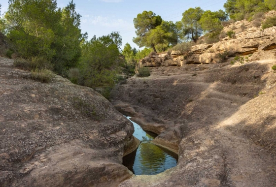 Revente - Appartement - Algorfa - Pueblo