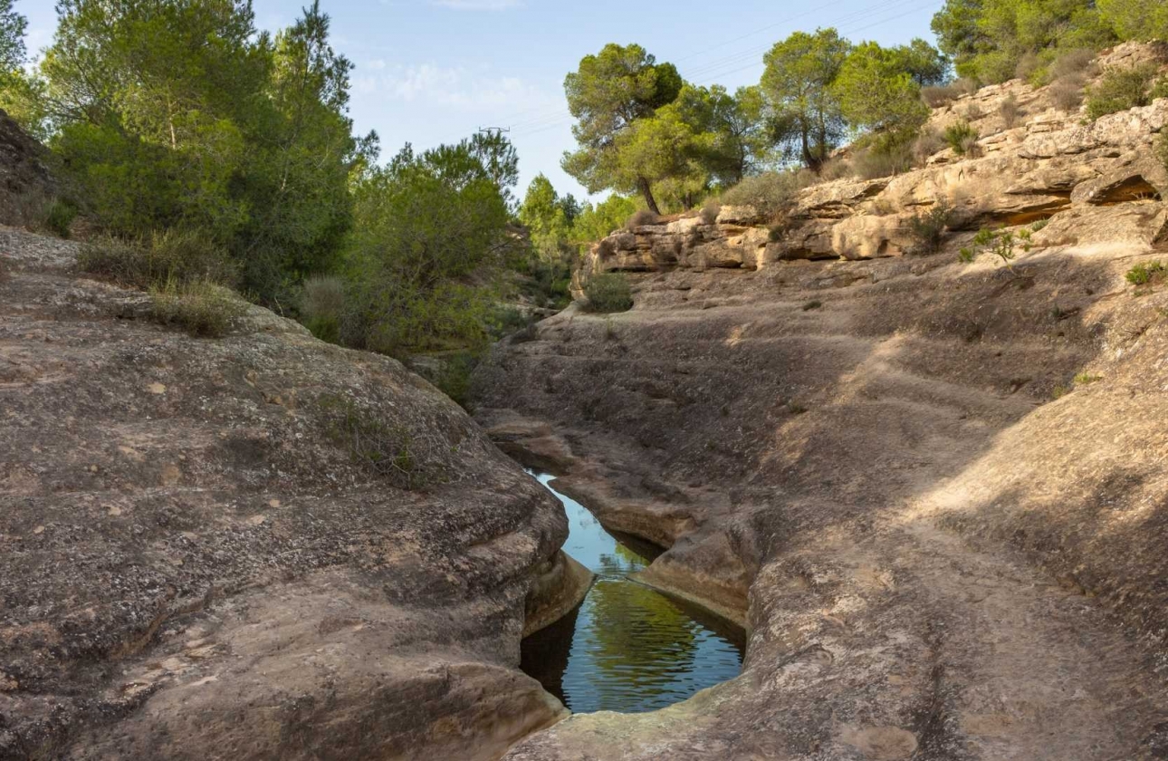 Reventa - Apartamento / piso - Algorfa - La finca Golf