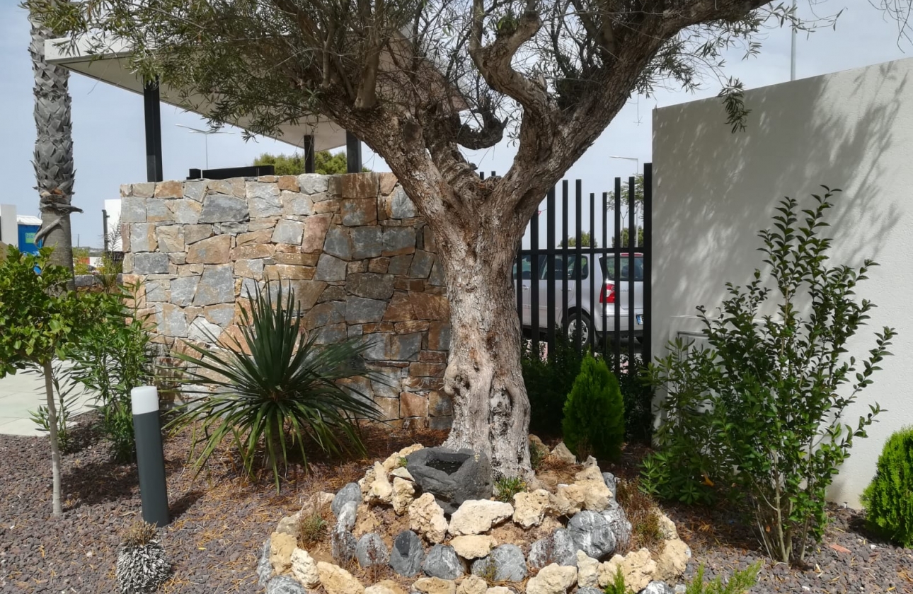 Nouvelle construction - Ground floor apartment - Torrevieja