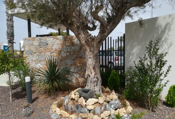 Nouvelle construction - Ground floor apartment - Torrevieja