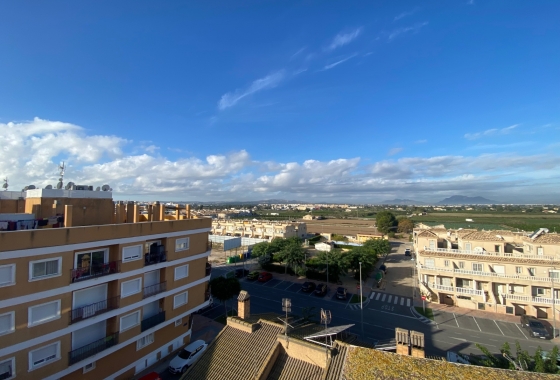 Long Term Rental - Apartment / flat - Formentera del Segura - Los Palacios