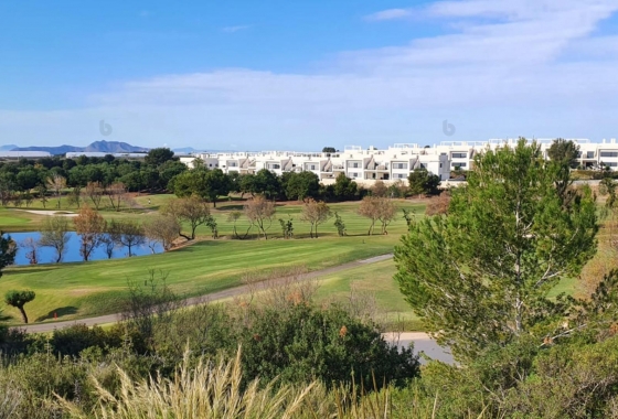 Obra nueva - Villa - Pilar de la Horadada - Lo Romero Golf