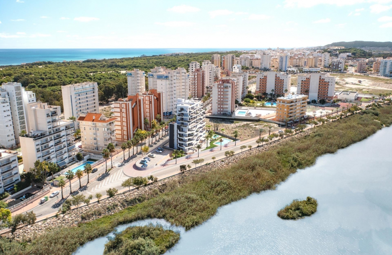 Obra nueva - Apartamento / piso - Guardamar del Segura - Puerto