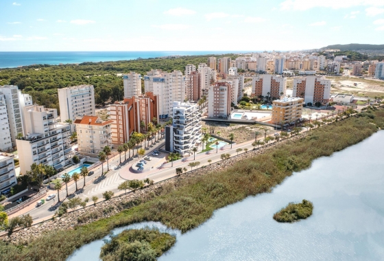 Obra nueva - Apartamento / piso - Guardamar del Segura - Puerto