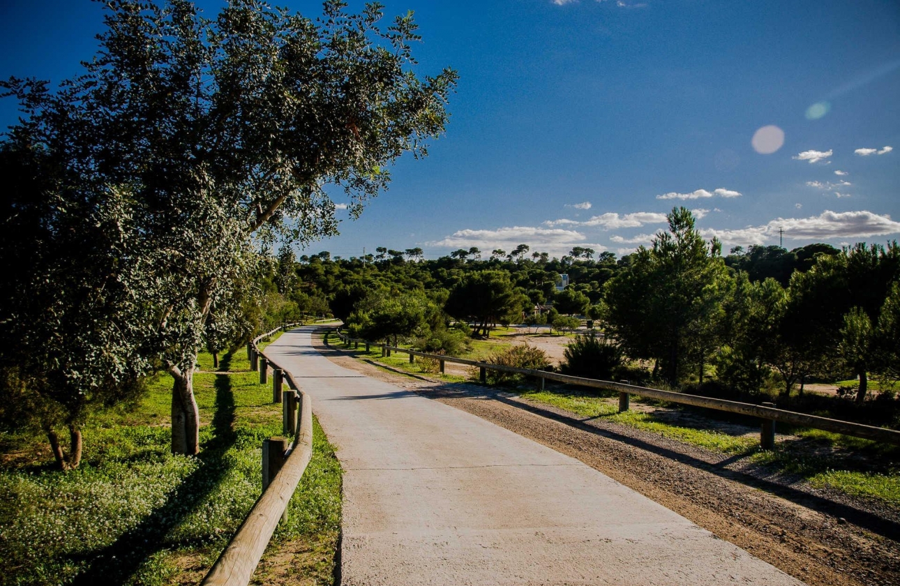 Obra nueva - Villa - Rojales - Doña Pena