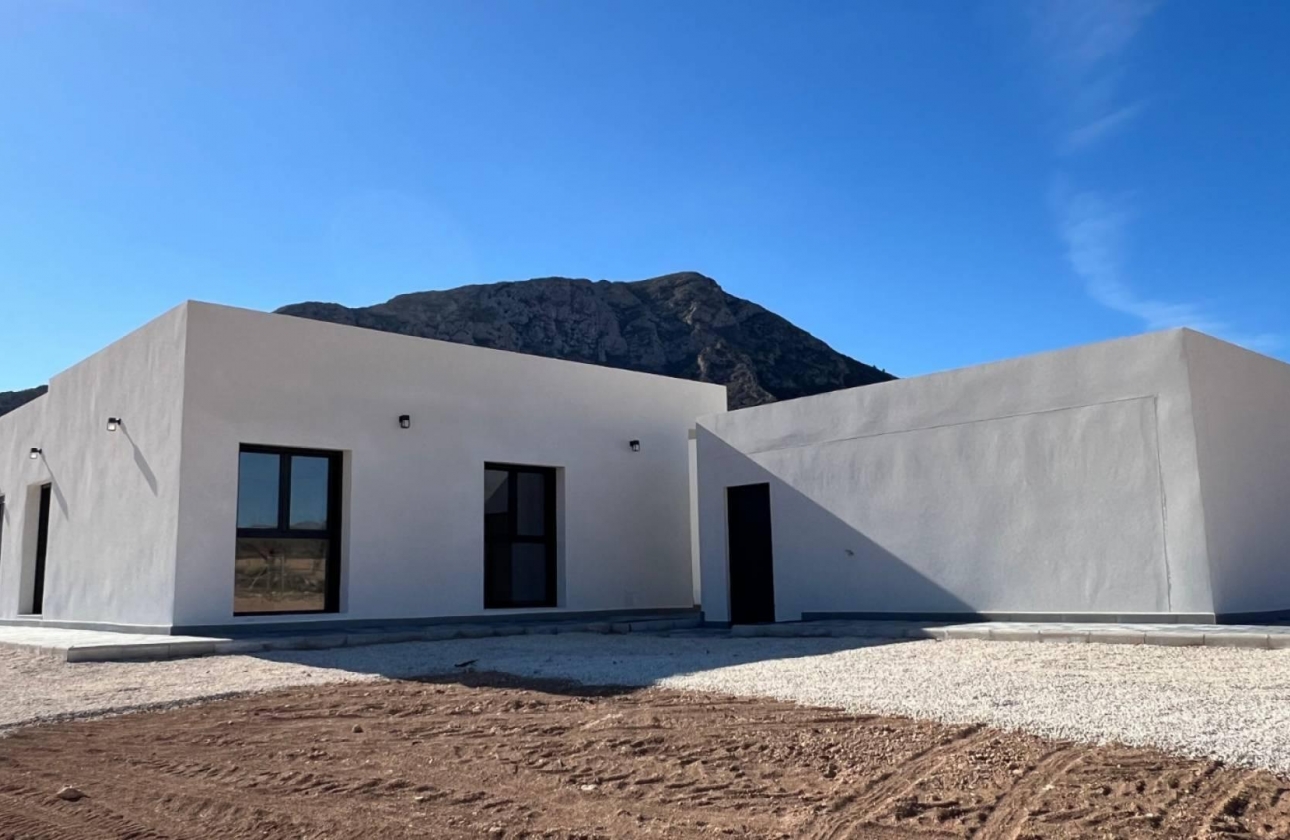 Obra nueva - Villa - Jumilla - Torre del Rico