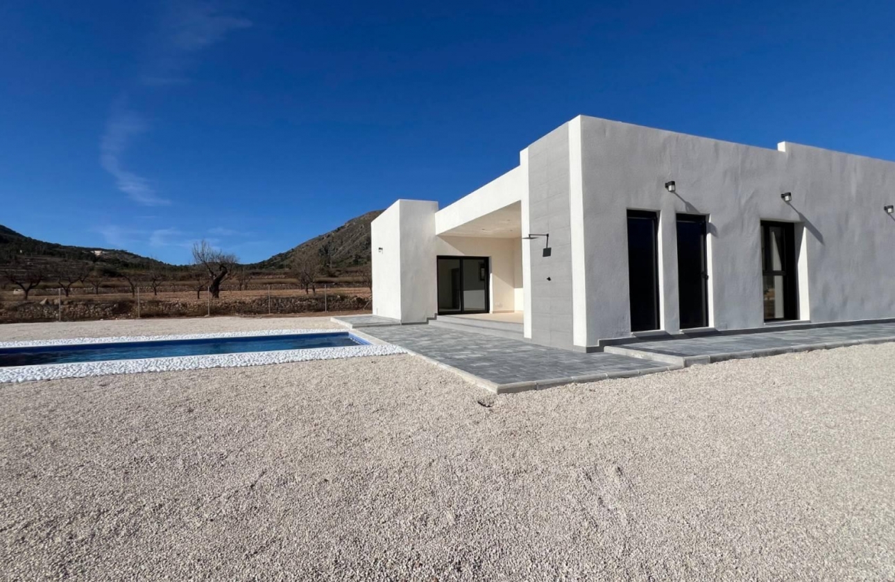 Obra nueva - Villa - Jumilla - Torre del Rico