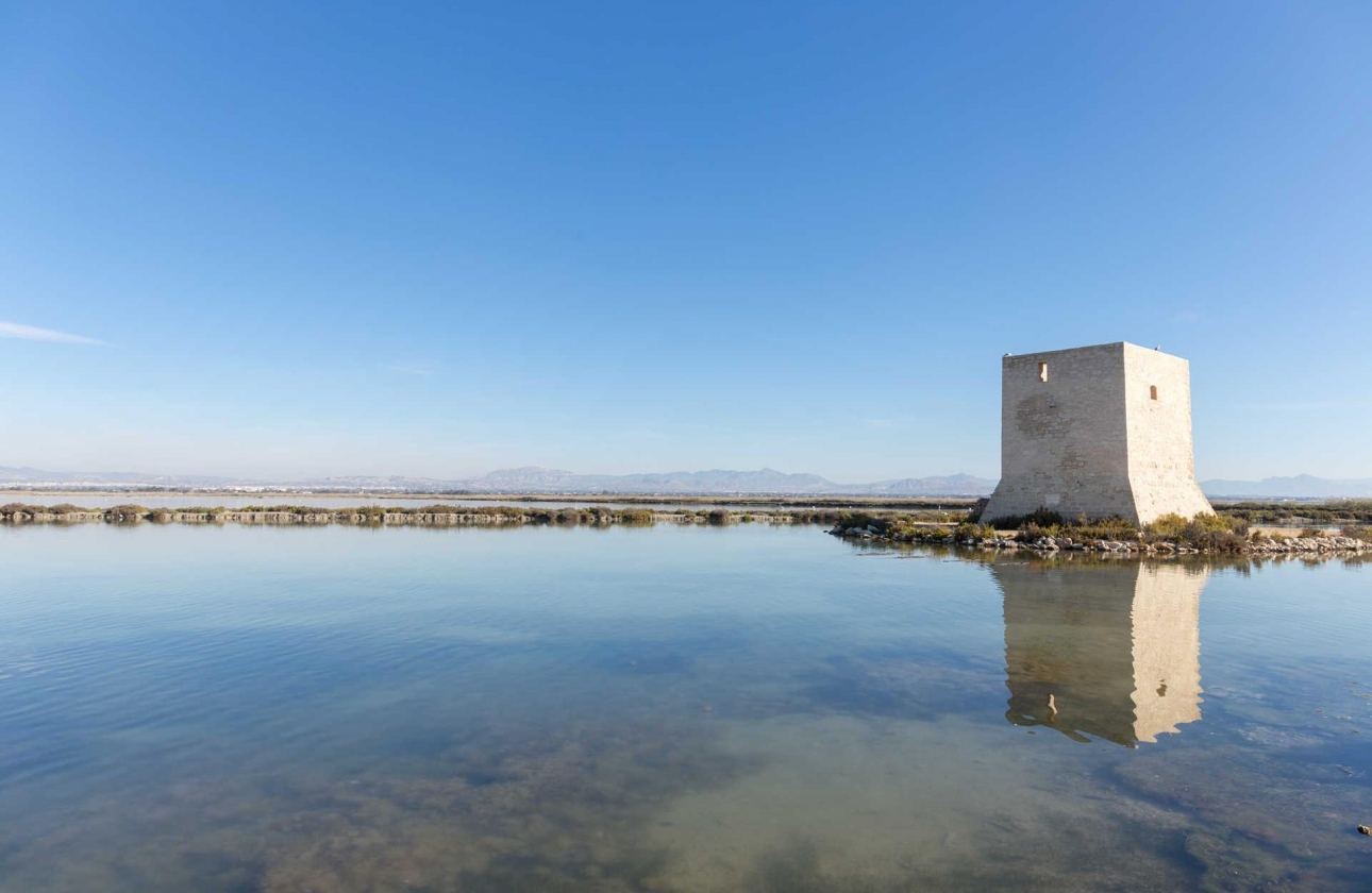 Obra nueva - Ático - Santa Pola - Eroski