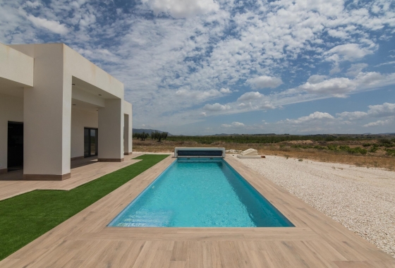 Obra nueva - Villa - Pinoso - Campo