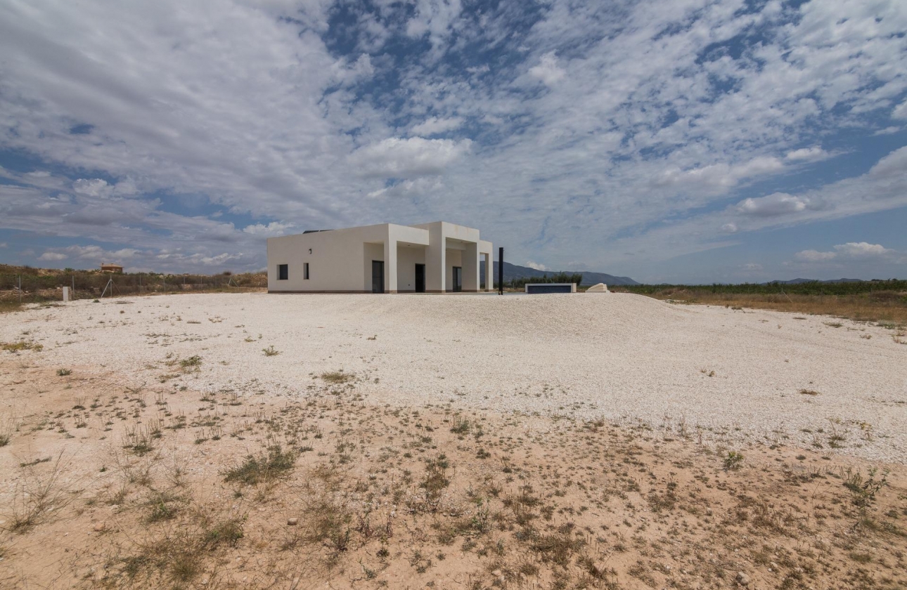 Obra nueva - Villa - Pinoso - Campo