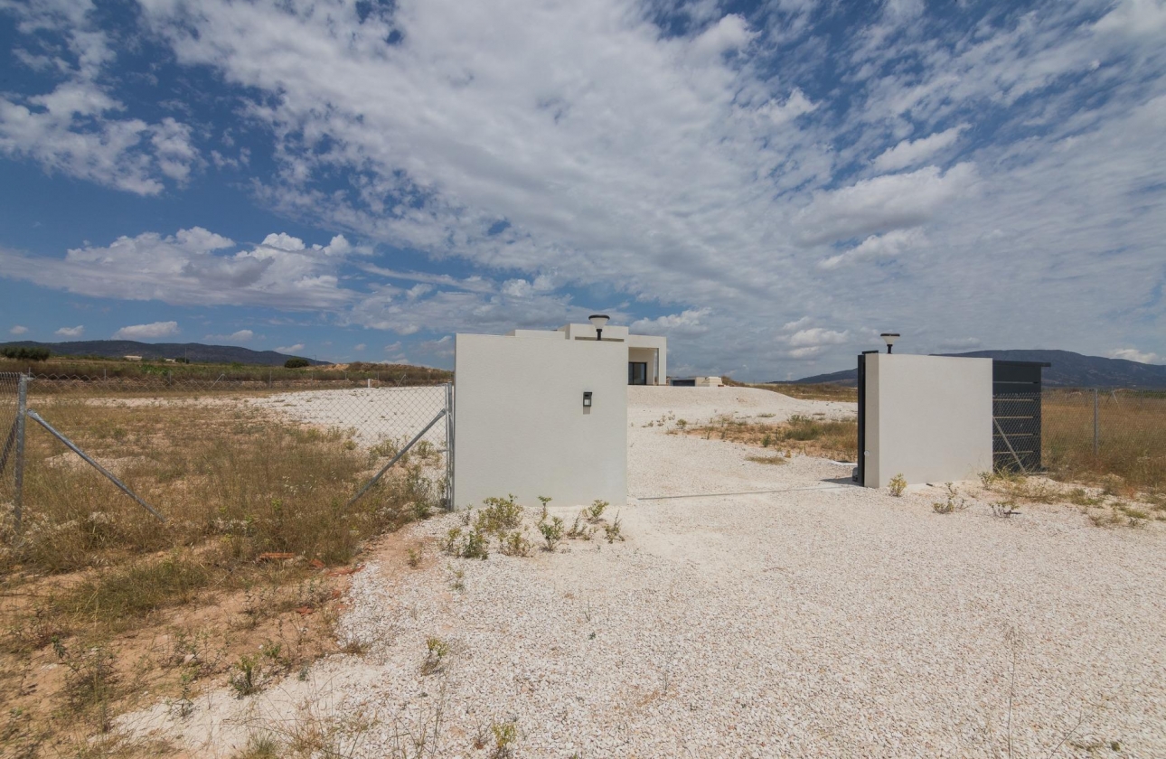 Obra nueva - Villa - Pinoso - Campo