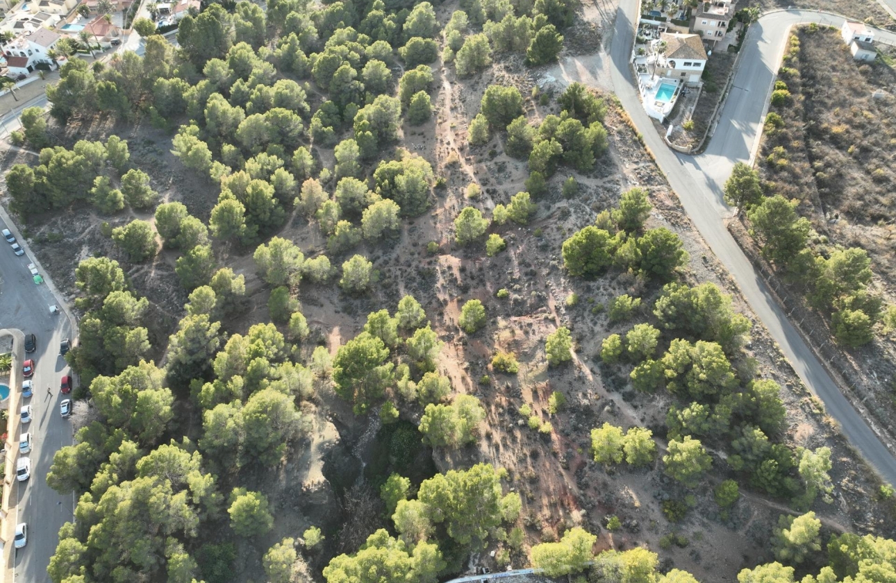 Obra nueva - Villa - L'alfas Del Pi - Escandinavia