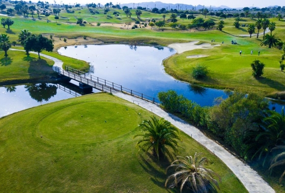 Obra nueva - Villa - Orihuela Costa - Vistabella Golf