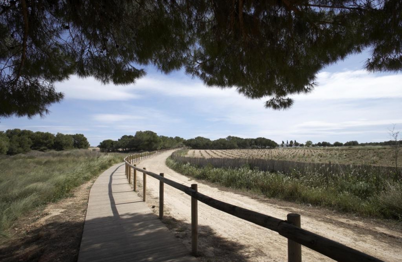 Obra nueva - Bungalow - Torrevieja - Torrejón