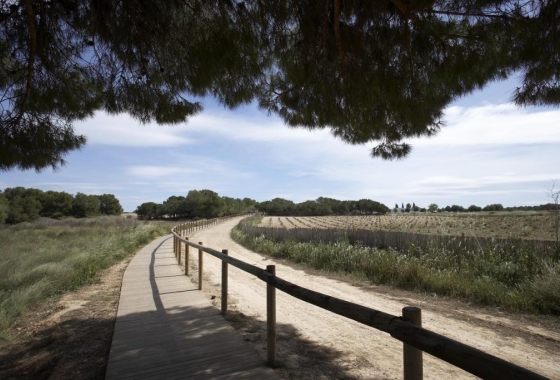 Obra nueva - Bungalow - Torrevieja - Torrejón