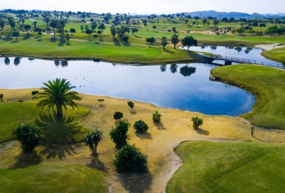 Obra nueva - Villa - Orihuela Costa - Vistabella Golf