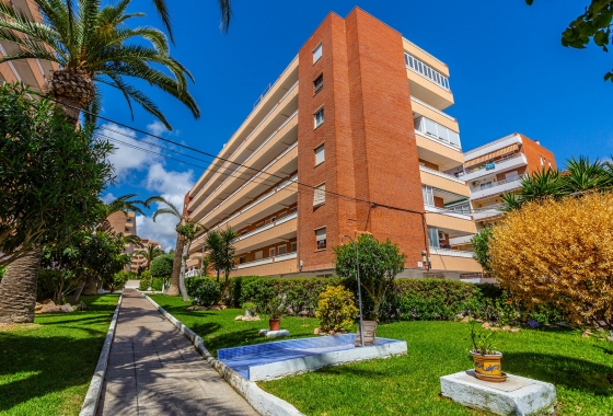 Reventa - Apartamento / piso - Orihuela Costa - Punta Prima