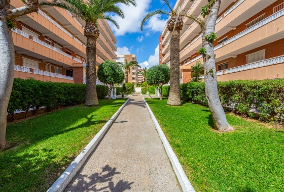 Reventa - Apartamento / piso - Orihuela Costa - Punta Prima