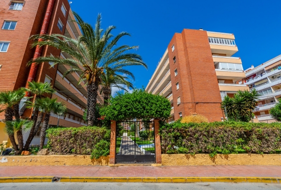 Reventa - Apartamento / piso - Orihuela Costa - Punta Prima